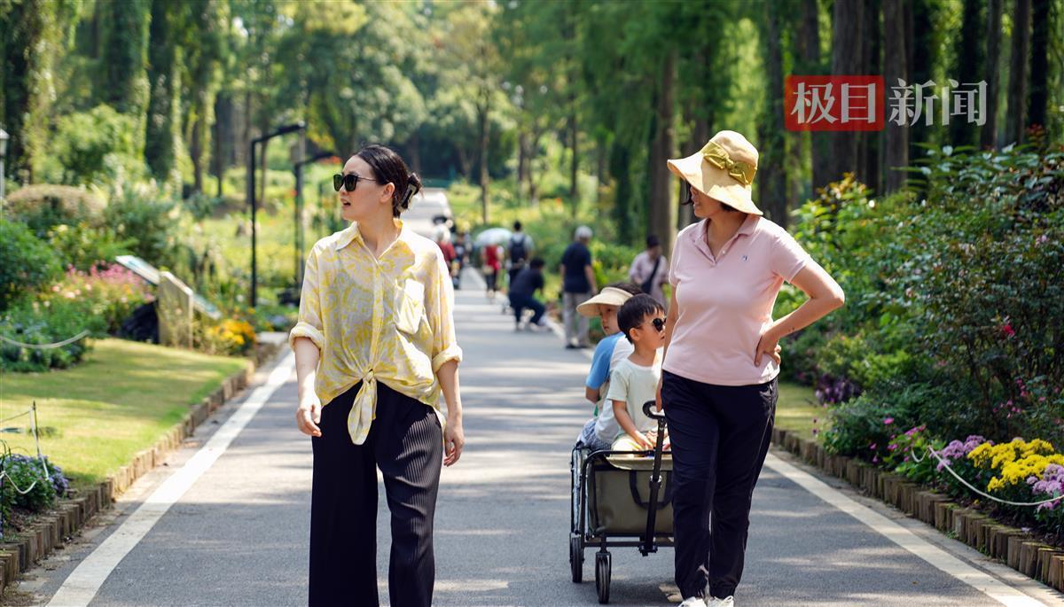 易利官网在线注册